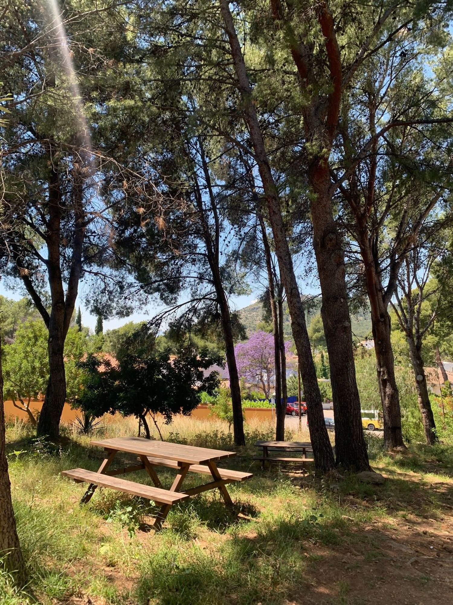 Chalet adosado en Plaza Pobla Montornes, 2, Montornes - Las Palmas - El Refugio, Montornes - Las Palmas - El Refugio - Foto 22