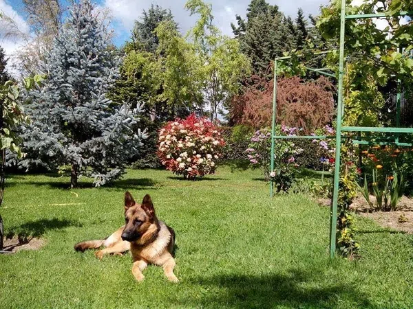 Casa independiente en Urb. campodón Barrio Campodón - Ventorro del Cano - Foto 24