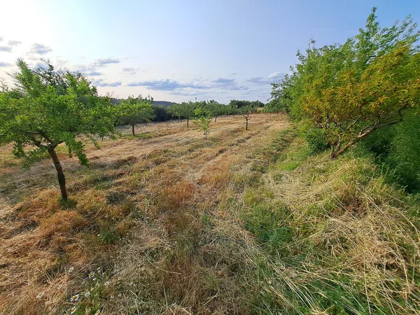 Cortijo en Camino del Castañar s/n - Foto 32