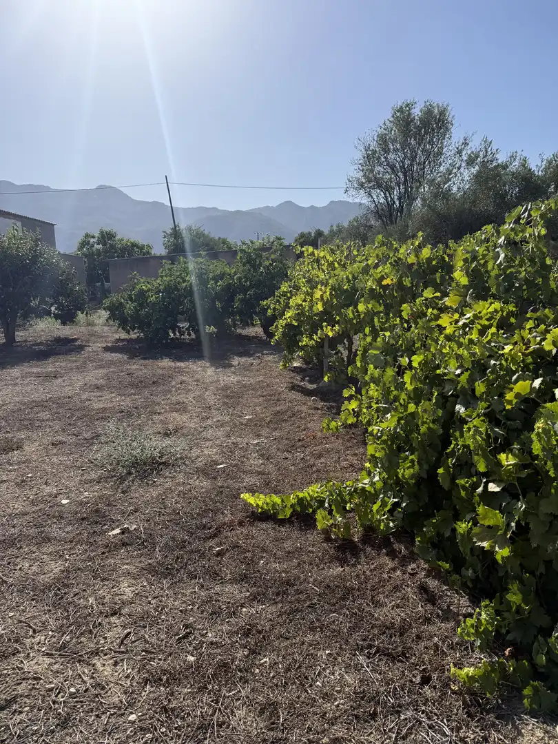 Finca rústica en  Placeta de Molina 2 - Foto 6