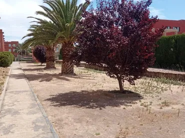 Piso en  Avenida de los Descubrimientos 7 - Foto 5