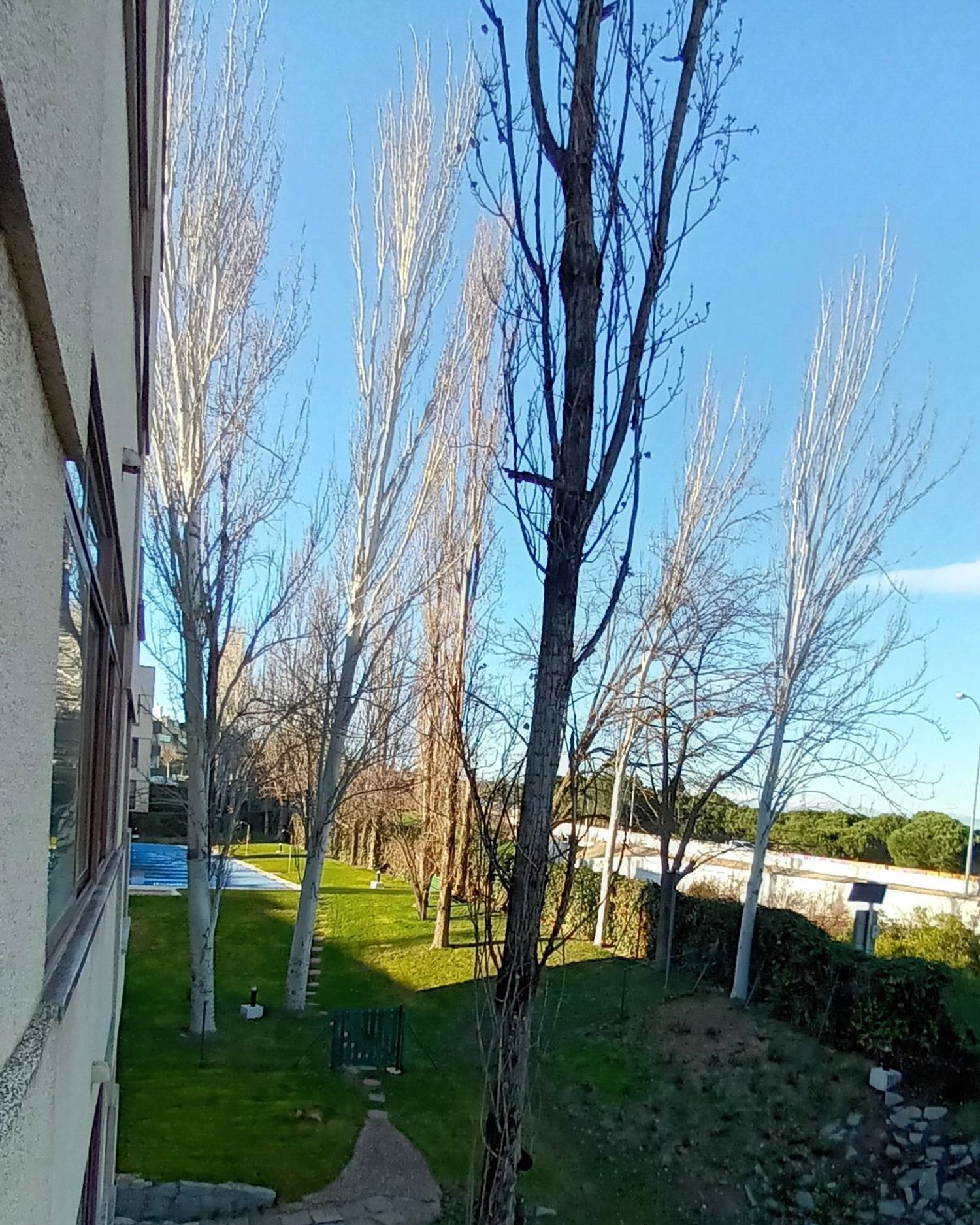 Estudio en calle Collado Ventoso, 4 - Foto 12