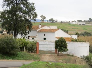 Finca rústica en  Camino de Gibralgalia 1 - Foto 10