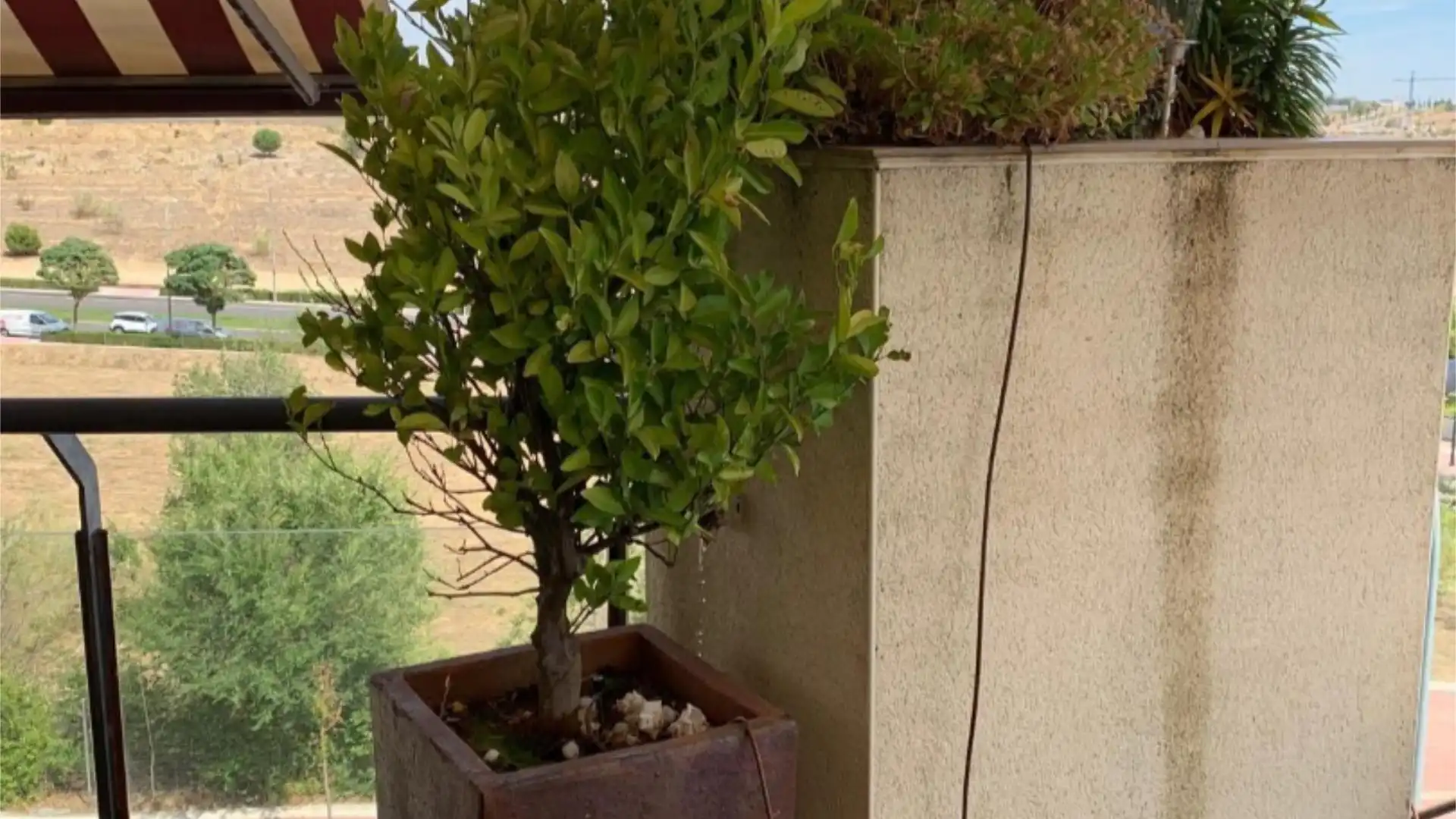 Ático en  Calle Francisco Tomás y Valiente 5 - Foto 19