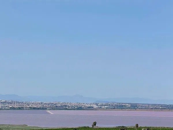 Ático en Avenida de Denia, 3, Los Balcones - Los Altos del Edén - Foto 8