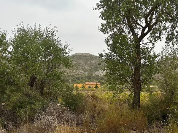 Casa o chalet independiente en Umbria Peñas Blancas Yecla, 31 PoligonoParcela - Foto 23