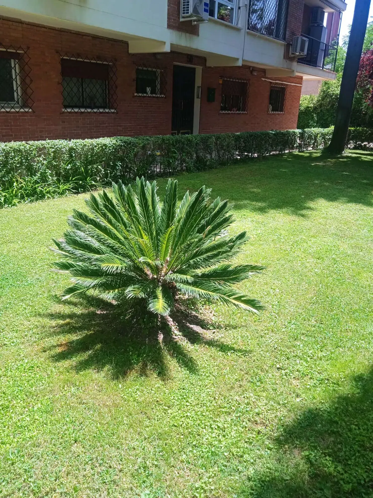 Piso en calle de Colombia, 48 - Foto 1