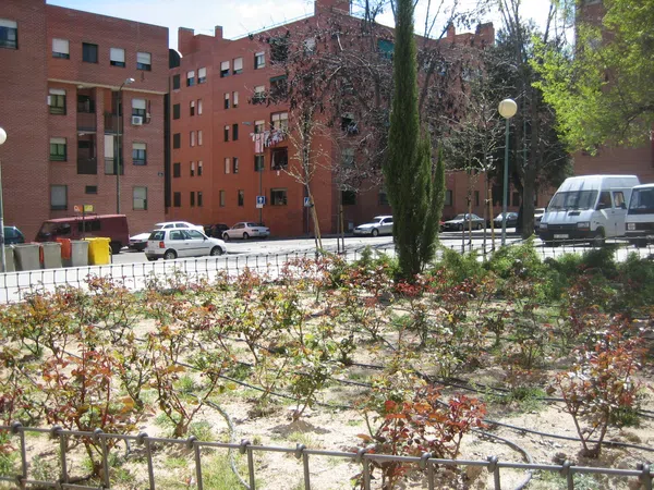 Piso en calle Escalonilla, 23