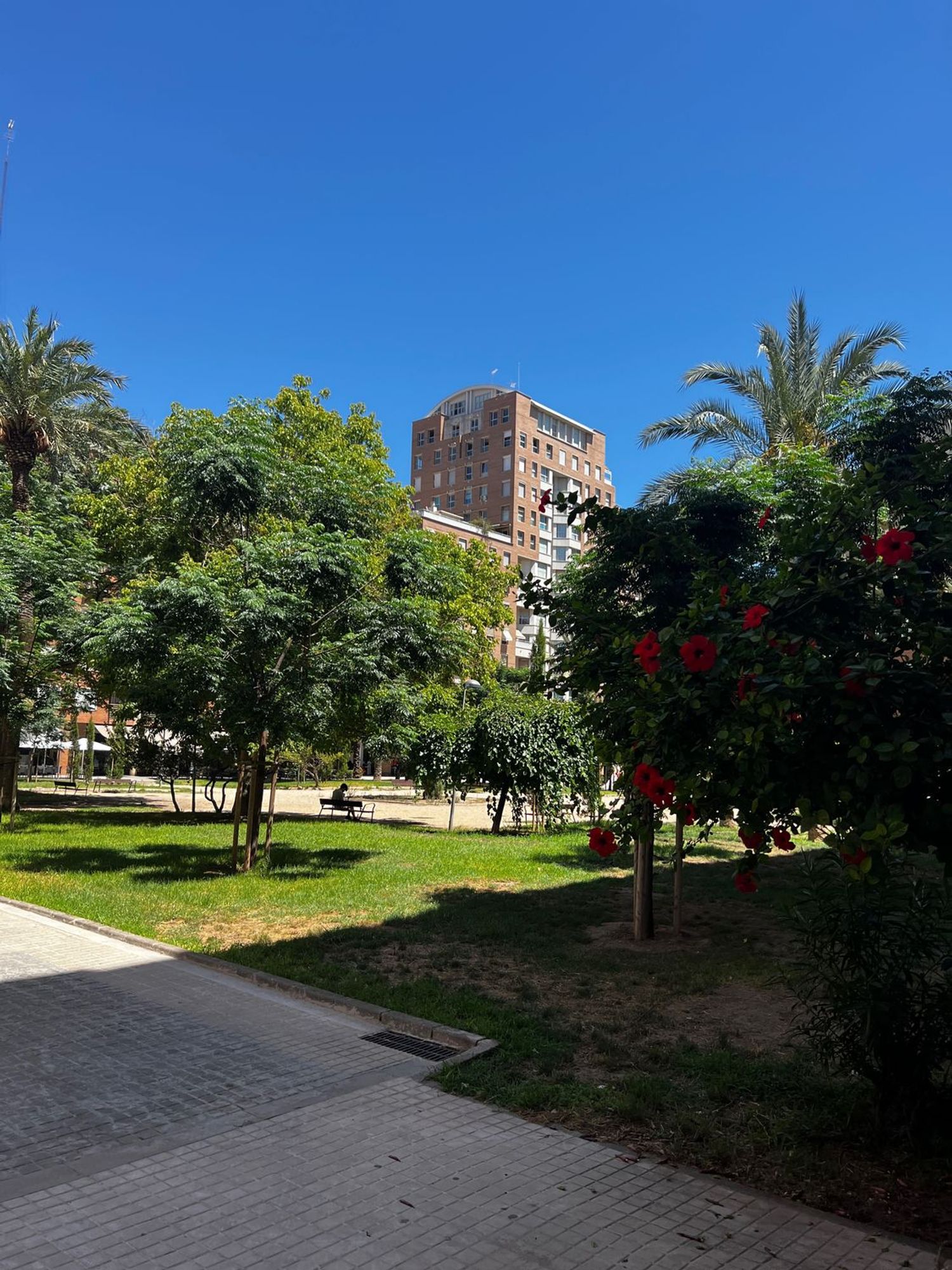 Piso en Calle del Poeta Josep Cervera i Grífol, 12, Ciutat de les Arts i de les Ciencies - Foto 4