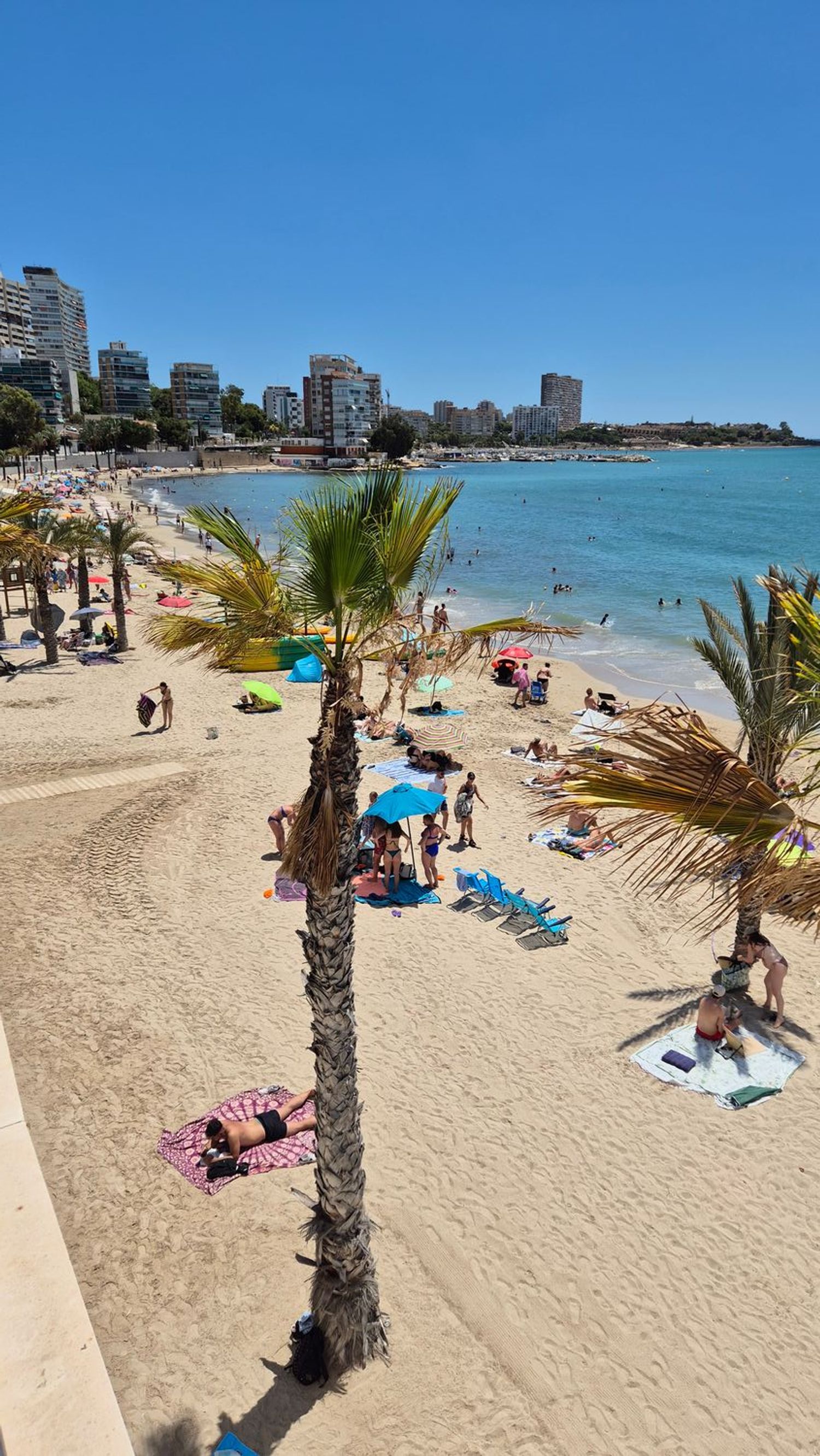 Piso en Avenida de Villajoyosa, 97, La Albufereta - Foto 2