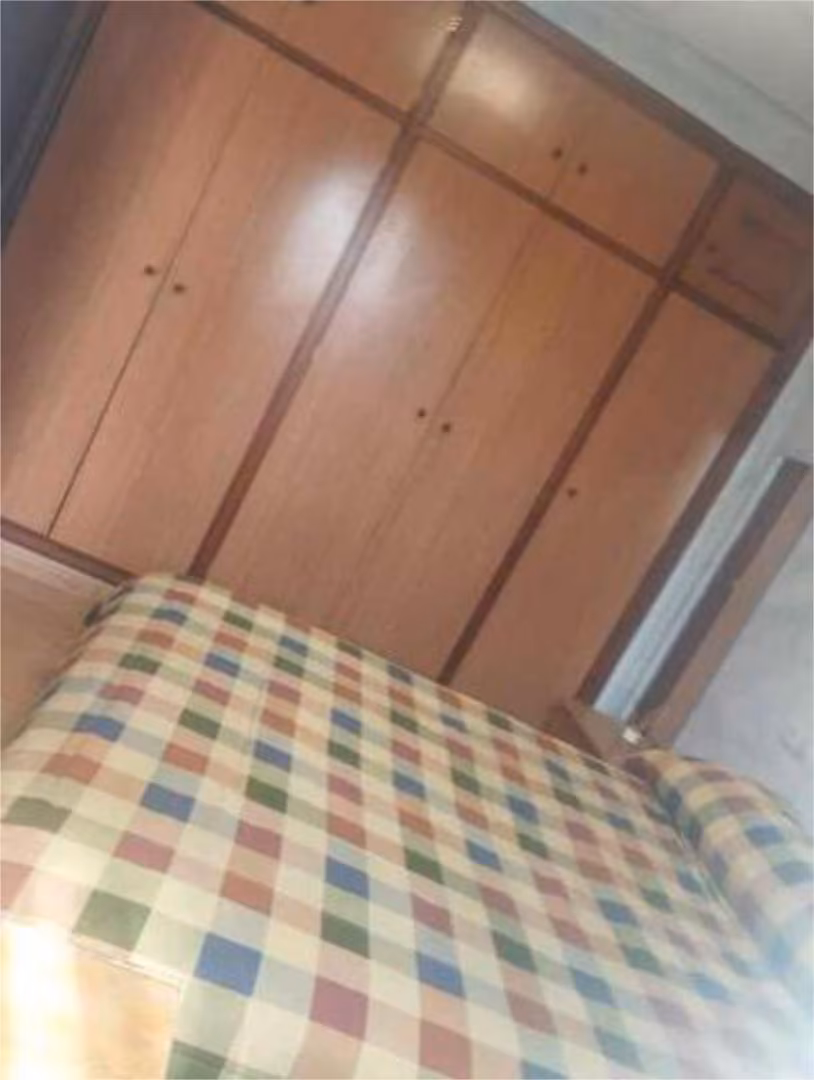 Chalet en la ñora - Foto 4