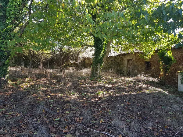Casa de pueblo en Lugar Castelaus, 37 - Foto 9