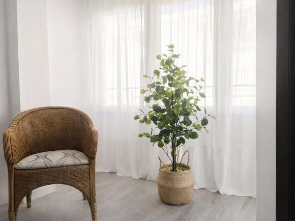 Piso en calle de Pano y Ruata, 15 - Foto 7