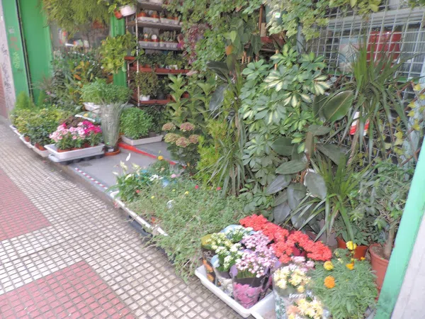 Piso en Calle de García de Paredes, Almagro - Foto 32