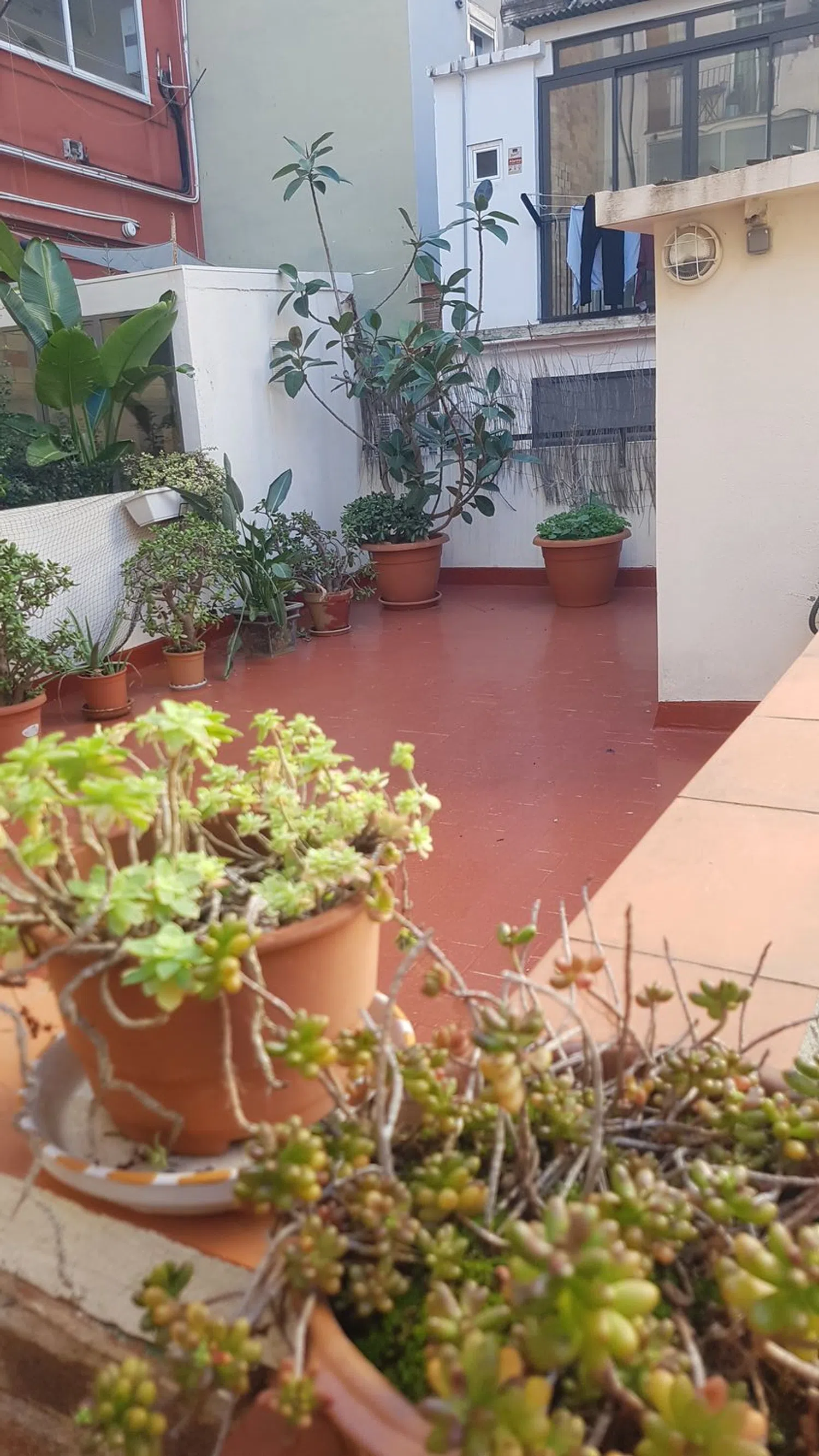 Piso en calle de Reig i Bonet, 11 - Foto 1