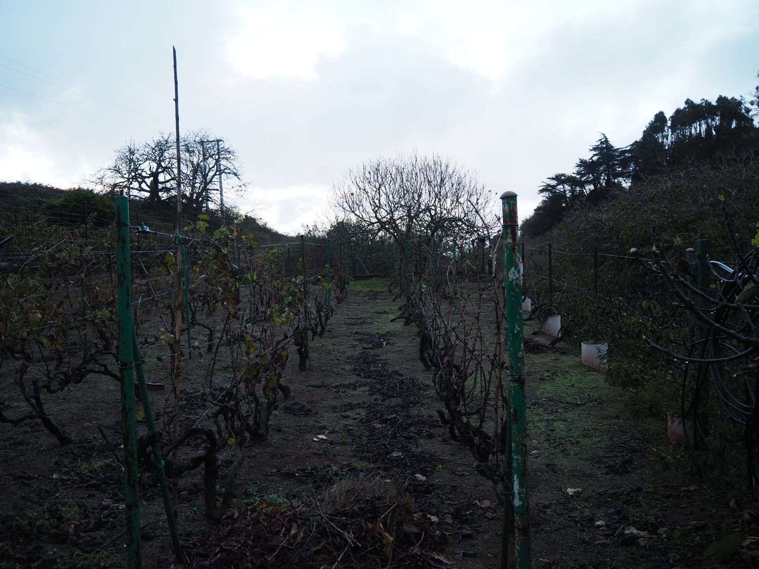 Casa independiente en calle el Sino, 37 - Foto 8
