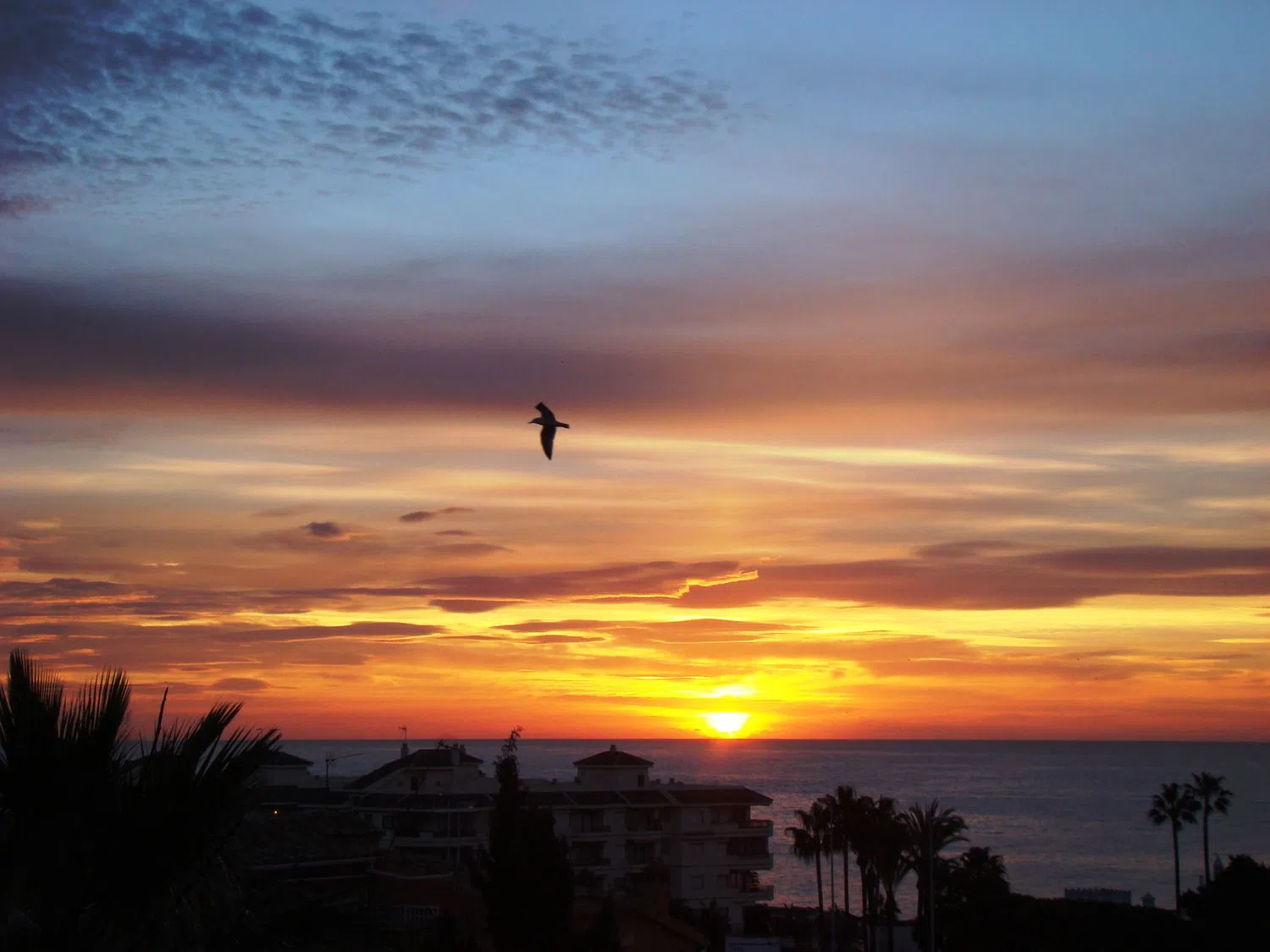 Piso en El Pinar de Calypso, 3 - Foto 4