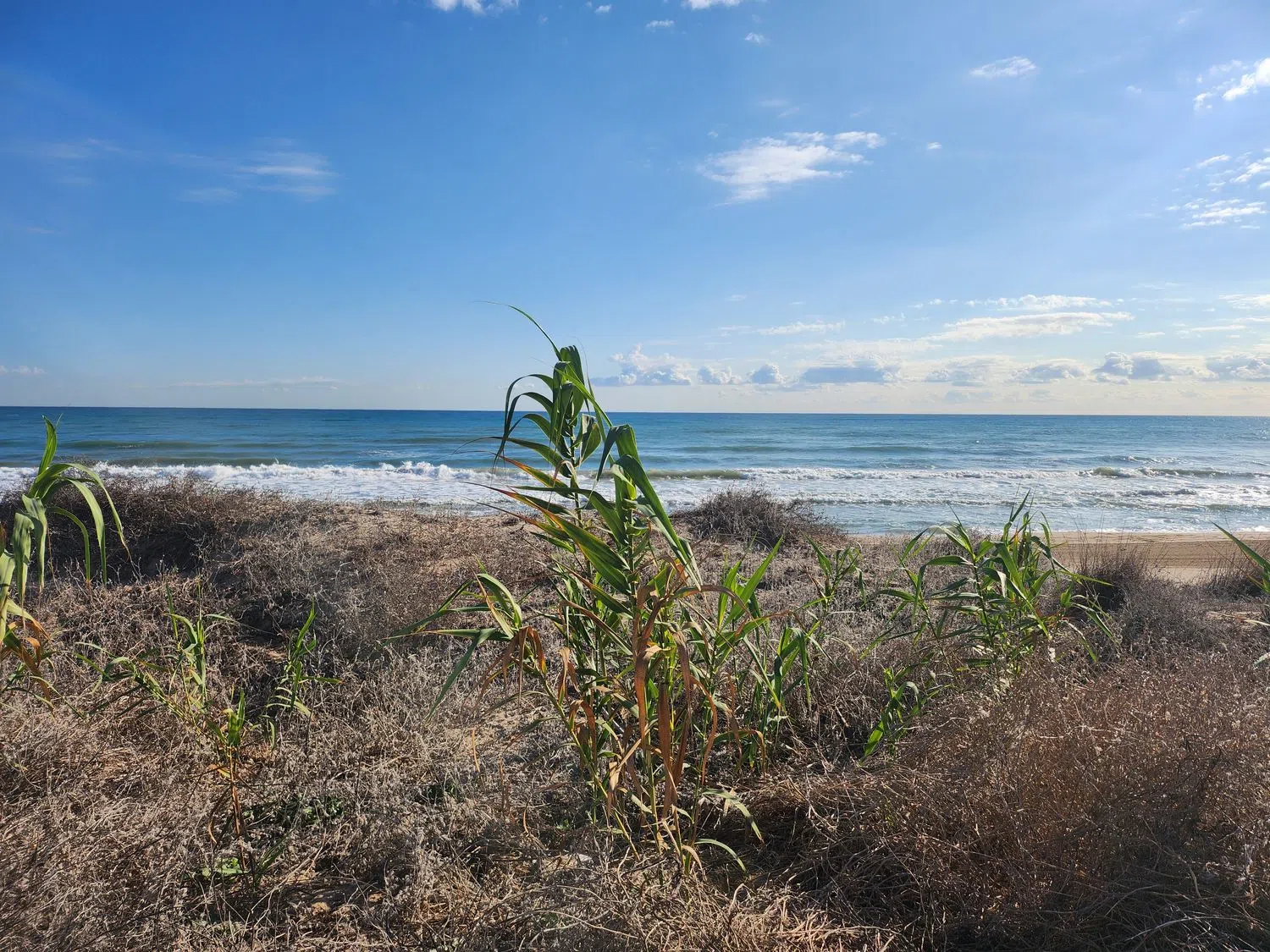 Piso en Xenia, 4 - Foto 19