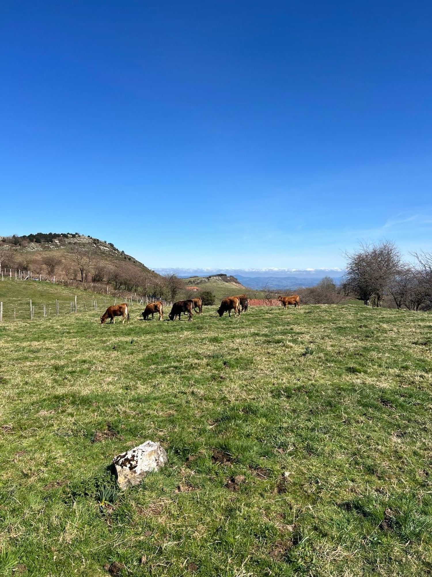 Casa rural en s/n s/n - Foto 8