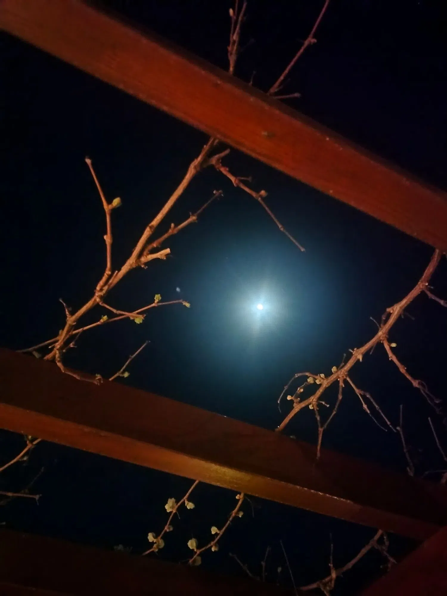 Chalet adosado en calle Platón, 79 - Foto 35