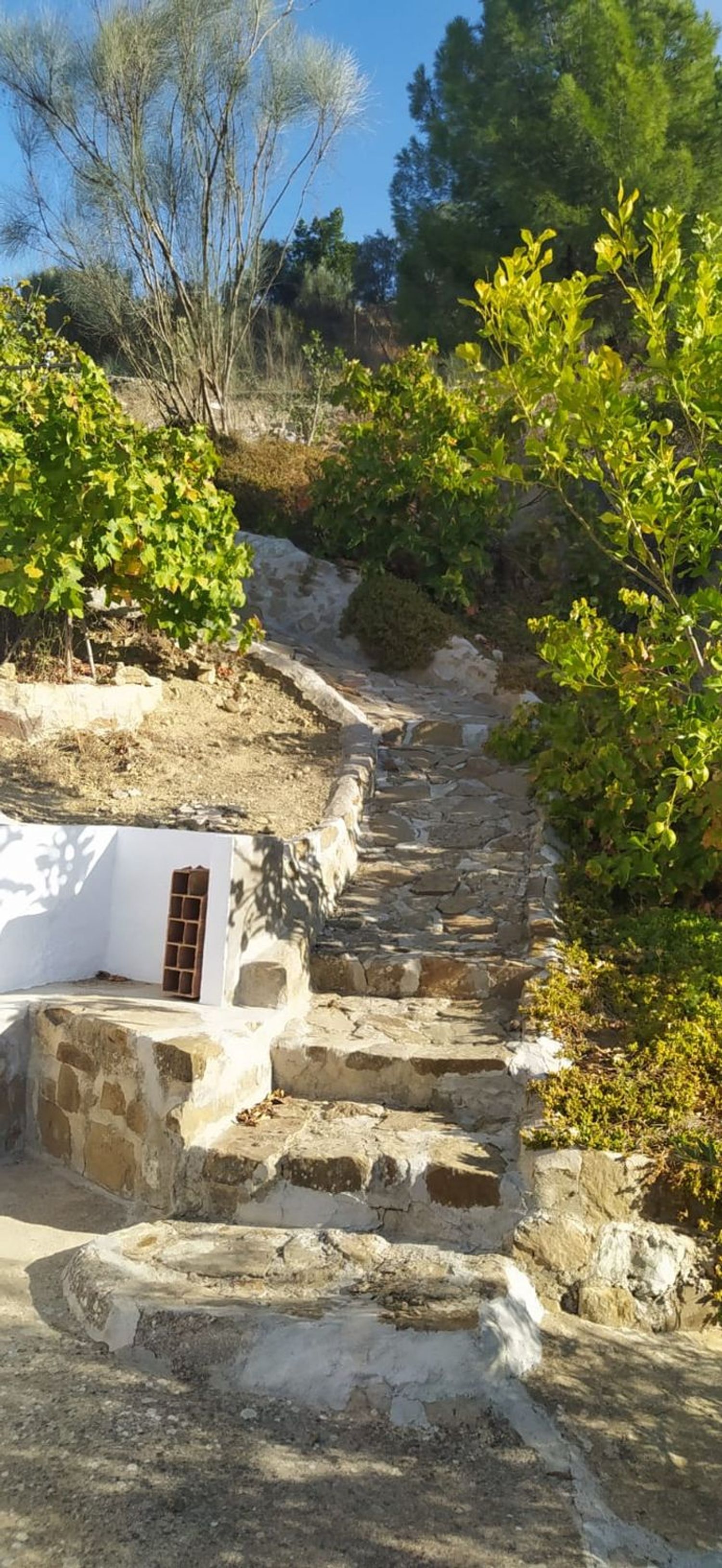Casa rural en Diseminado Poligono 62, 329 b - Foto 20
