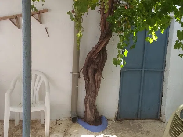 Casa de pueblo en Calle La Fuente, 6 - Foto 33