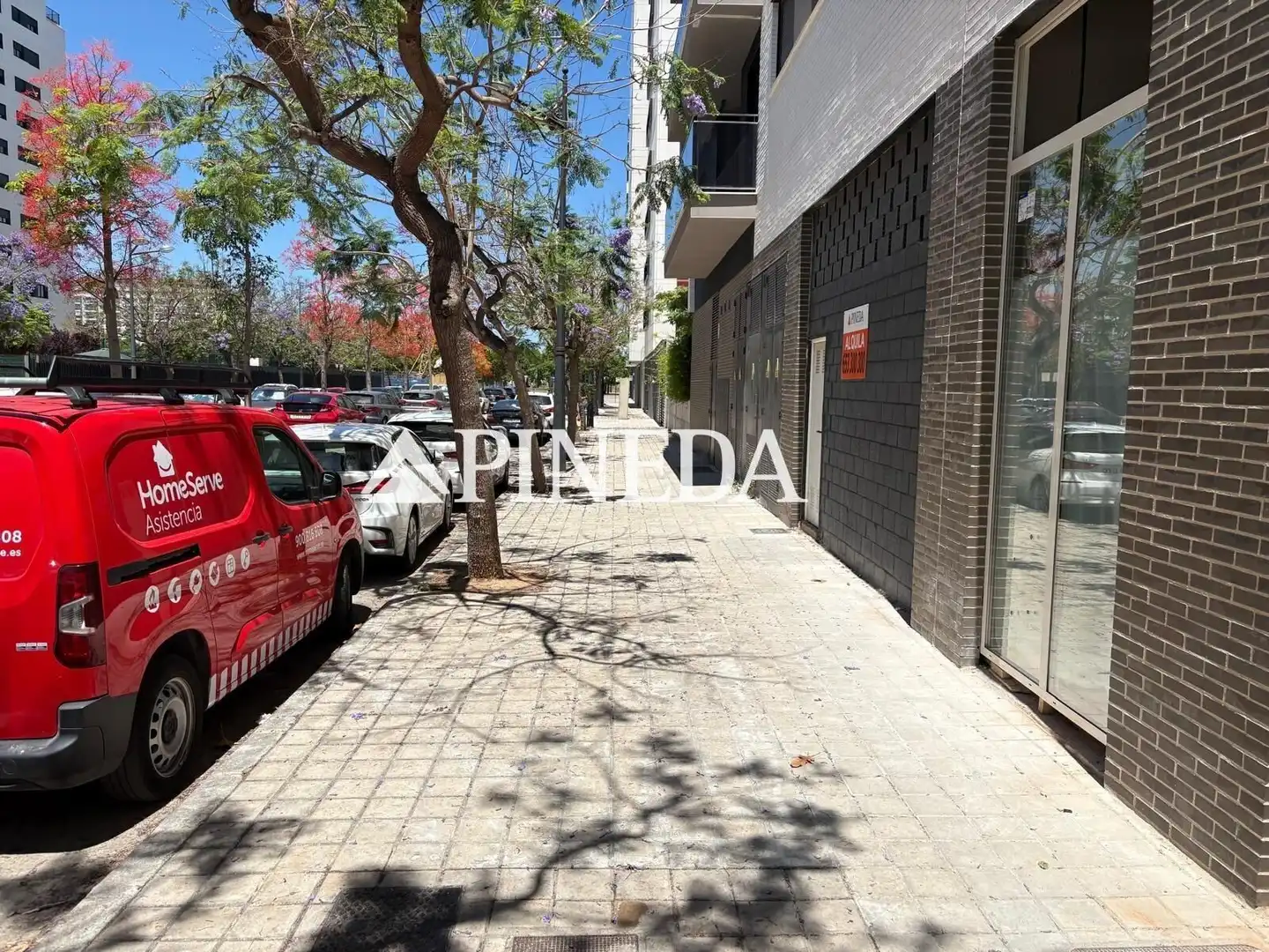 Local comercial en  Calle Calle Moreras - Foto 3