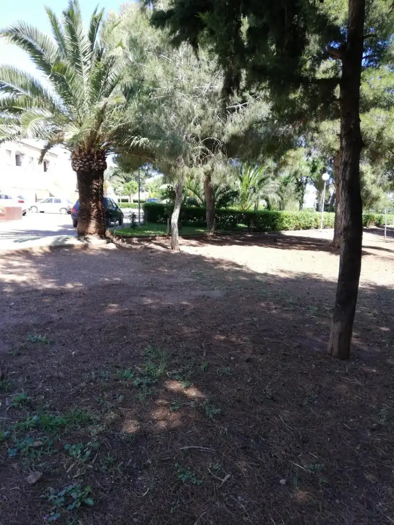 Apartamento en  Urbanizacion Paraiso Park 1 - Foto 8