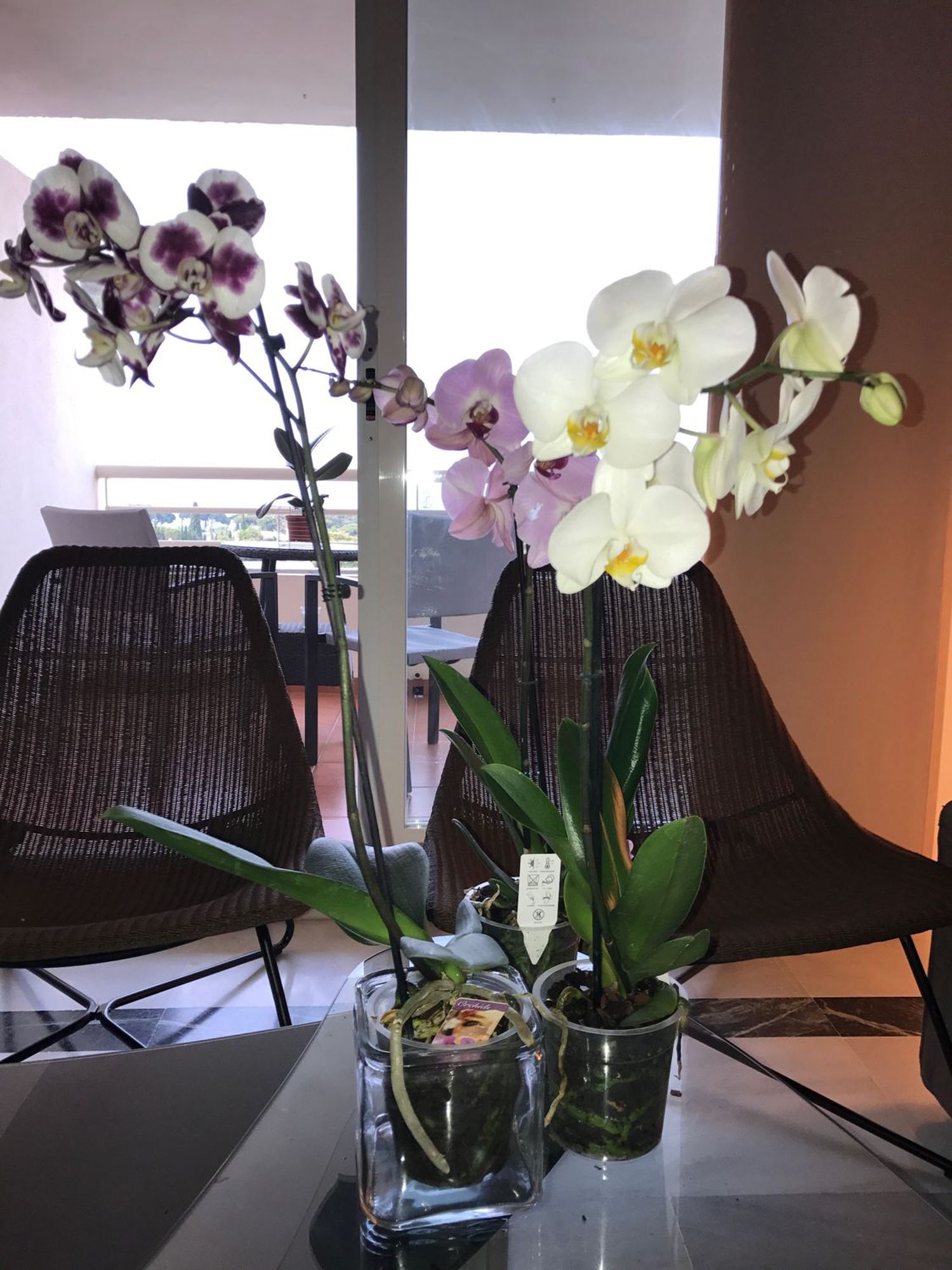 Piso en Bulevar Príncipe Alfonso de Hohenlohe, 9 - Foto 11