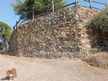Finca rústica en  Calle de Antonio Machado 29 - Foto 13