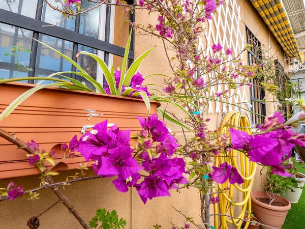 Ático en Calle San José, 50, Centro, Centro - Foto 9