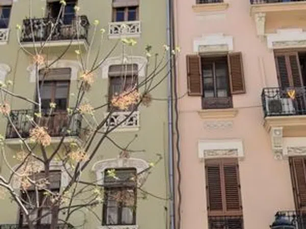 Piso en Calle de Joan Llorenç, 40, La Petxina - Foto 12