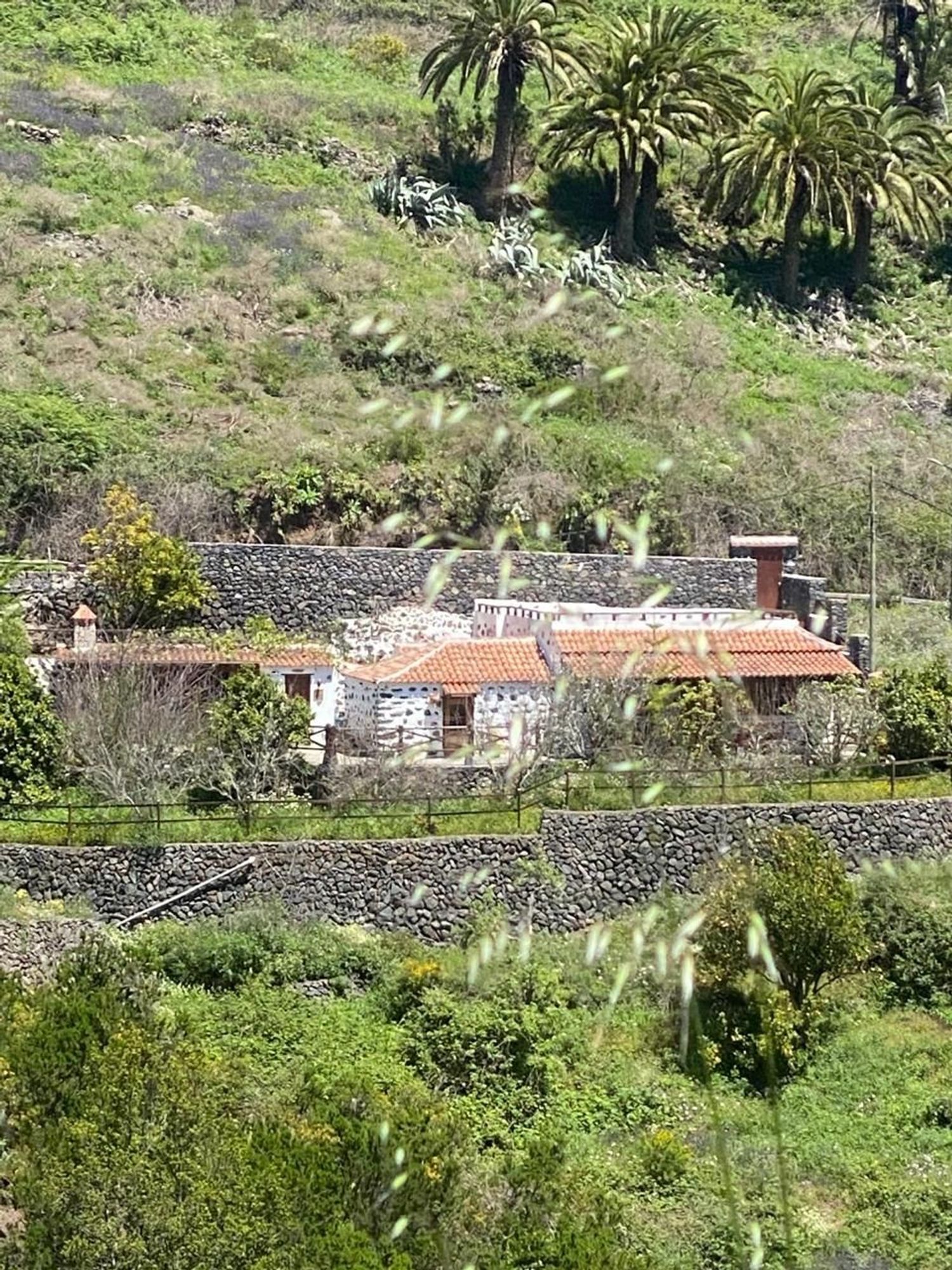 Casa o chalet independiente en La Palmita, 21 - Foto 27