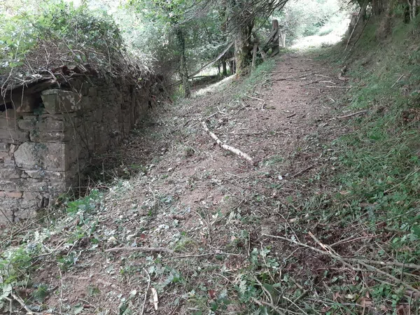 Casa de pueblo en Lg Abantro s/n - Foto 5