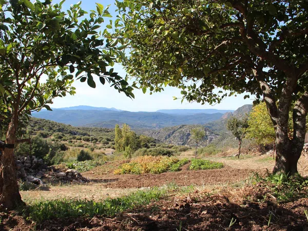 Casa rural en Avenida de Cadiz, 3 - Foto 38