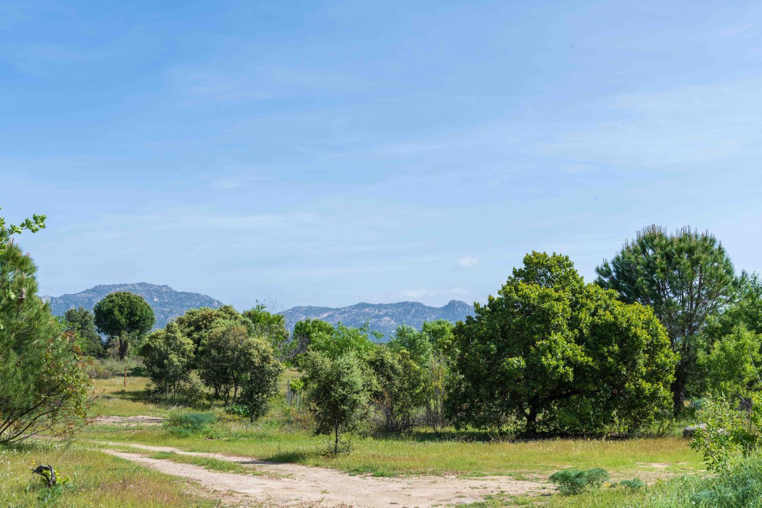 Casa rural en Camino de los Molinos s/n - Foto 4
