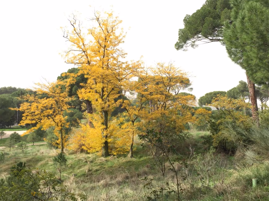 Piso en  Calle de Artajona 25 - Foto 24