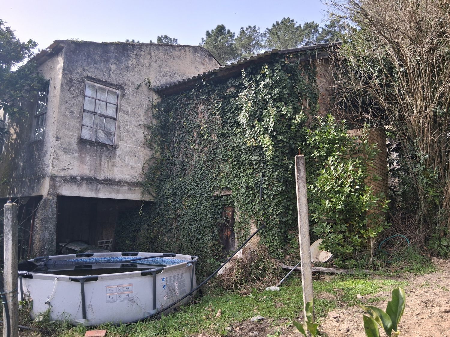 Finca rústica en Alboredos s/n - Foto 4