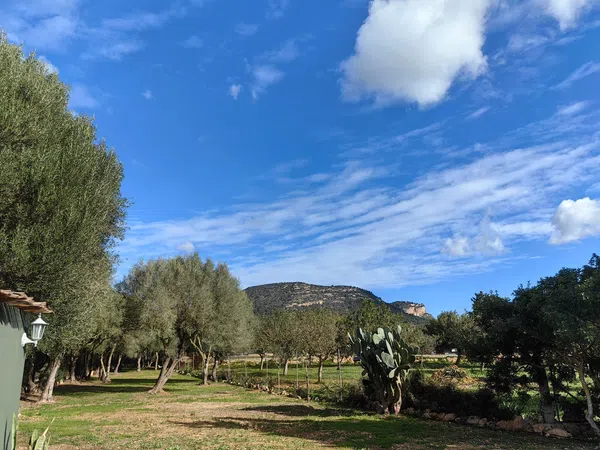 Finca rústica en Camino d'Es Coix Carro, 93 - Foto 14