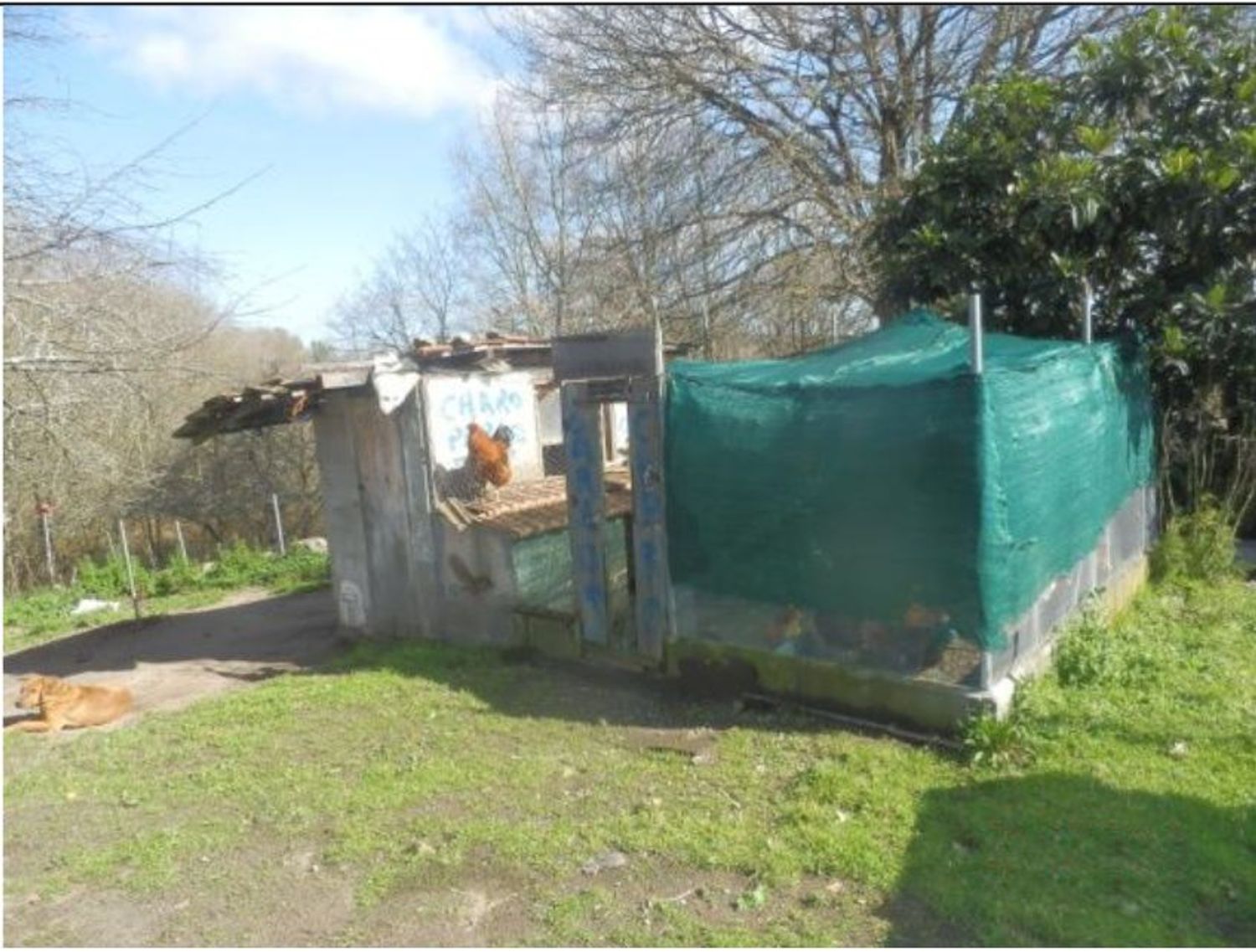 Casa de pueblo en Aldea Carballeira, 1 - Foto 6
