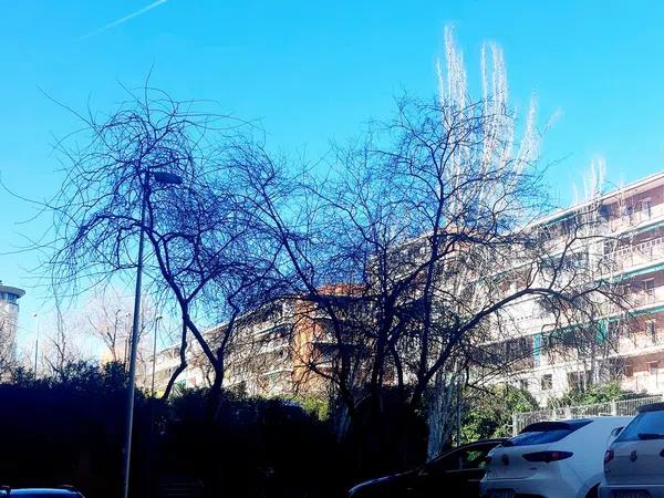 Piso en calle del Mar de Aral, 17 - Foto 13