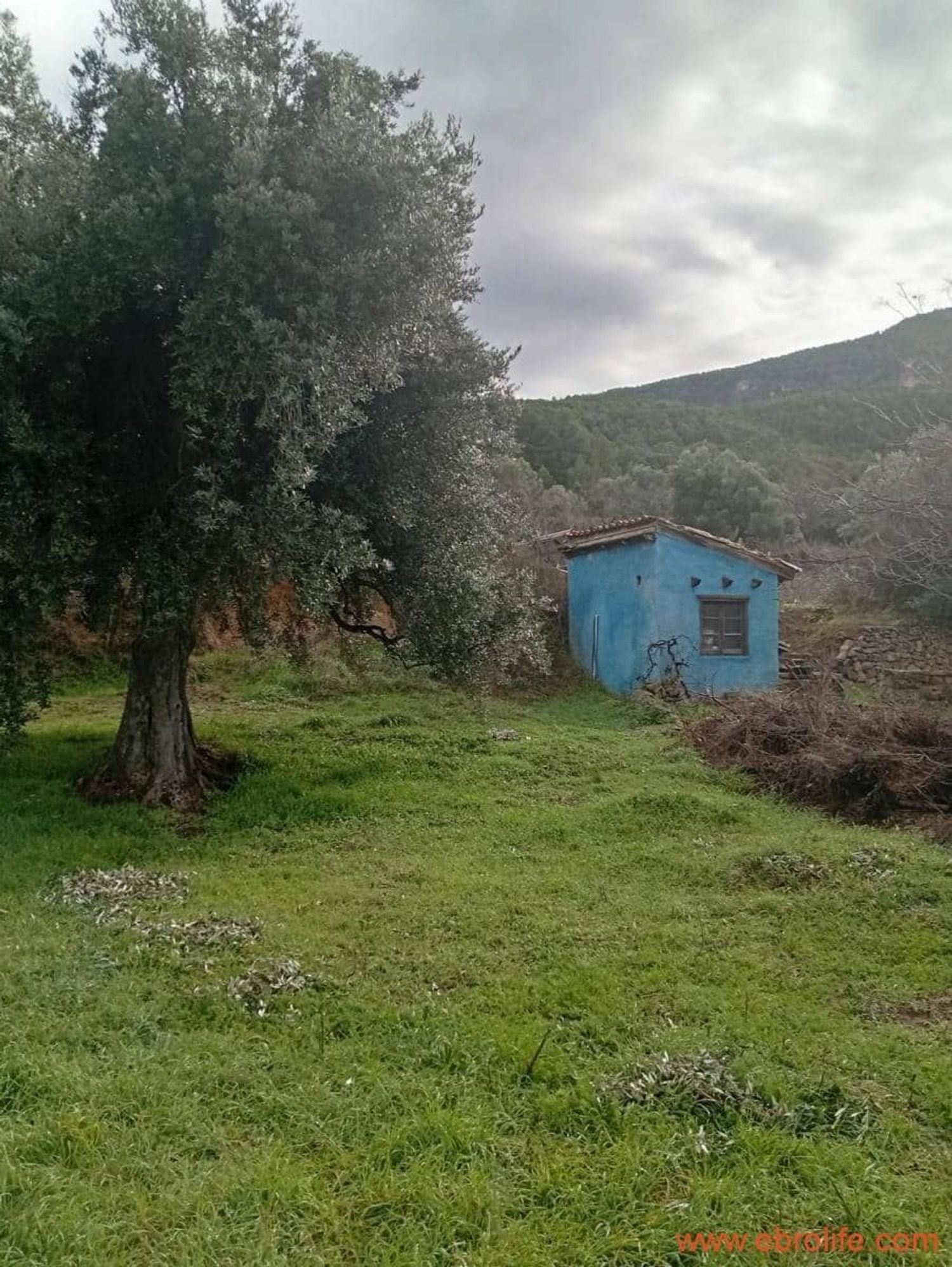 Masía en Masía en Camino del Pantano, 34 - Foto 5