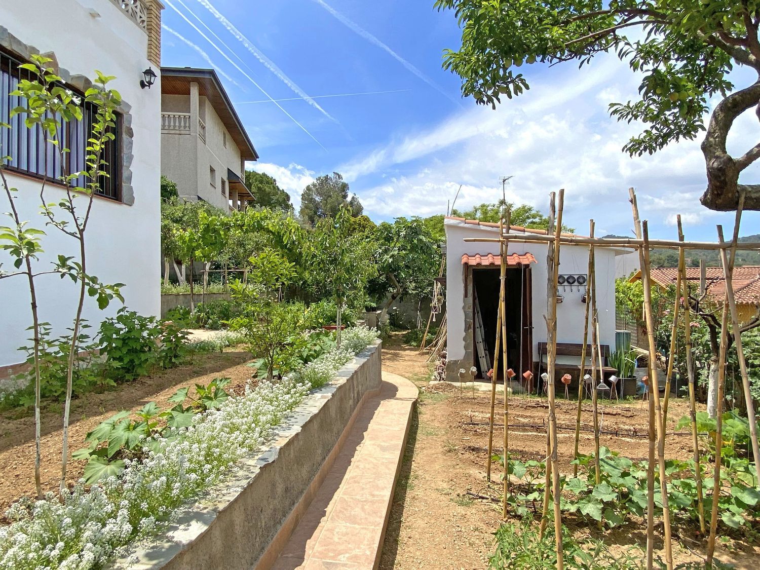 Casa o chalet independiente en Calle de Pi i Molist, 8 - Foto 7