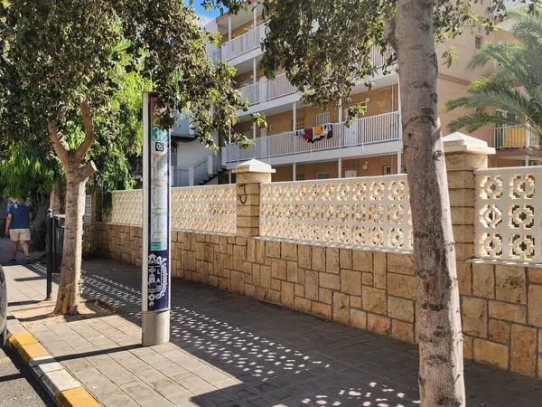 Piso en Avenida de la Costa Blanca, 146, Playa de San Juan - Foto 31