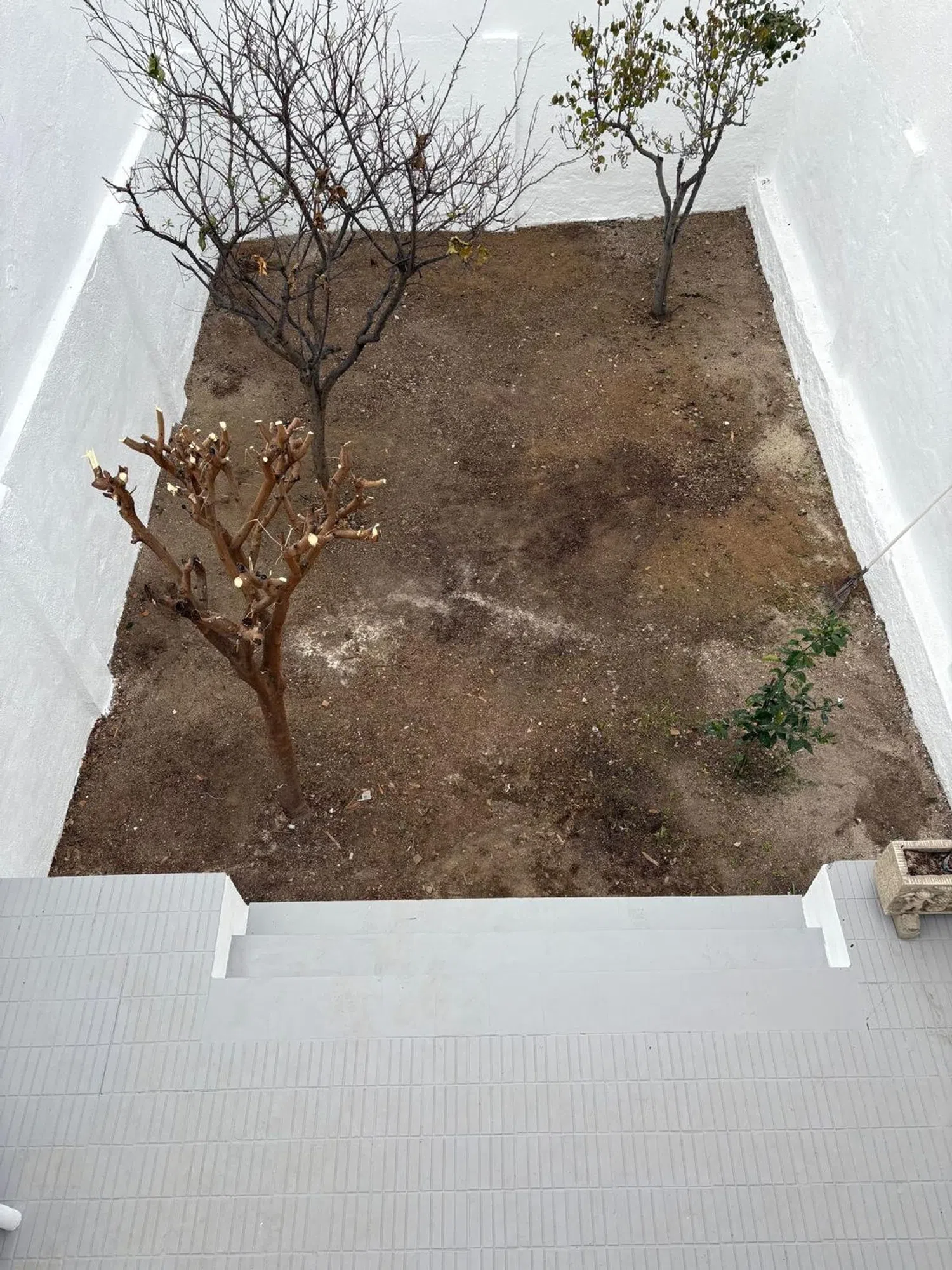 Chalet pareado en calle de Domènec Matheu, 4 - Foto 5