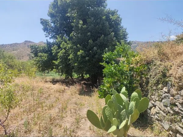 Casa de pueblo en Camino Cadiar Narila, 2 - Foto 4