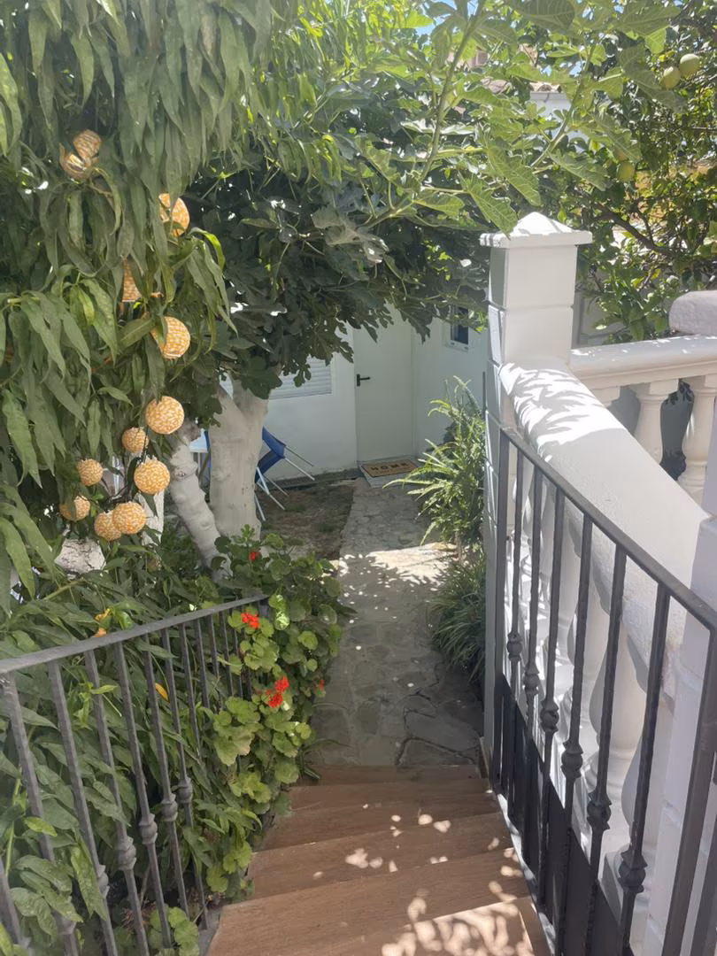 Planta baja en  Carrer de Zaforteza 40 - Foto 2