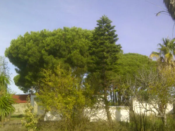 Casa independiente en calle Ceuta s/n - Foto 5