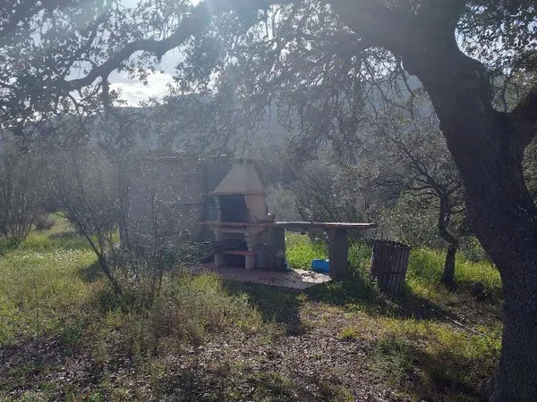 Finca rústica en Sierra de Mampar s/n - Foto 5