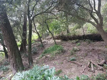 Terreno Residencial en  Carrer Barranc del Llop 29 - Foto 6